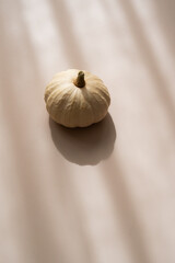 Small decorative pumpkin on beige background, soft shadows, minimal top view aesthetic	