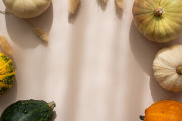 Top view of frame made of decorative pumpkins and dried plants, beige background, soft shadows, minimal aesthetic	