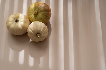White decorative pumpkins, soft shadows, beige background, top view autumn aesthetic, copy space	