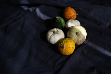 Decorative pumpkins on black fabric background with ray of light, autumn aesthetic minimalism	