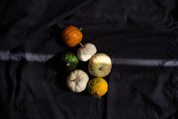 Decorative pumpkins on black fabric background with ray of light, autumn aesthetic minimalism	