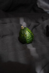 Decorative green pumpkin on black fabric background with ray of light, autumn aesthetic minimalism	