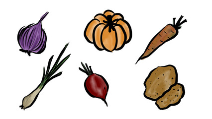 Watercolor Vegetable Set: Onion, Pumpkin, Carrot, Green Onion, Beet, Potatoes Illustration on transparent Background, Fresh Produce, Garden Harvest