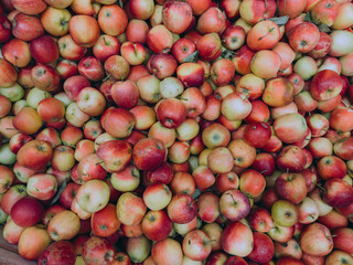 Top view of red apples arranged in pattern, fresh fruit background for healthy lifestyle and food concept