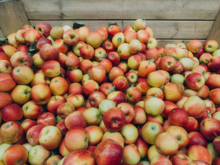 Top view of red apples arranged in pattern, fresh fruit background for healthy lifestyle and food concept