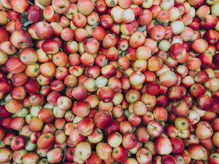 Top view of red apples arranged in pattern, fresh fruit background for healthy lifestyle and food concept
