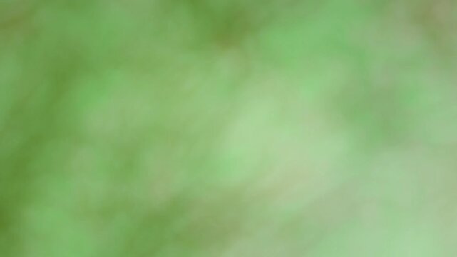 green and pale yellow haze marble tie dye effect animated motion background with veins of colour running through expanding clouds of of overlapping colours in soft warm pastel tones 4k animation
