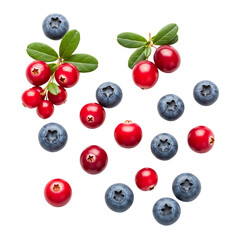 Vibrant blueberries and bright red lingonberries scattered for fresh food and health concepts