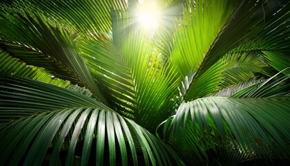 sunlight shining through vibrant green palm leaves in tropical forest