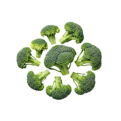 Fresh broccoli florets arranged for culinary concepts, health, and vibrant vegetable display