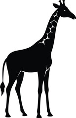 Black silhouette of a giraffe standing isolated on white background