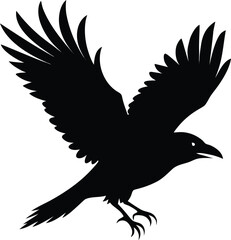 Silhouette of a crow in flight with wings spread isolated on white background