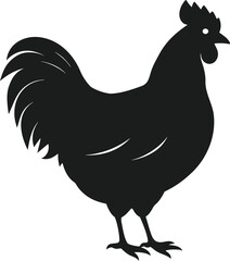 Black silhouette of a rooster standing isolated on white background