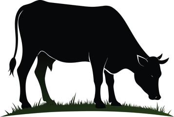 Black silhouette of a cow grazing on grass isolated on white background