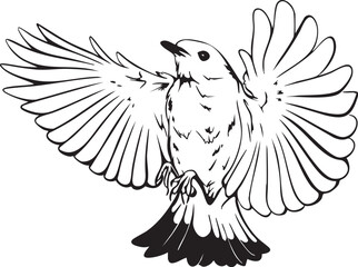 Bird Outline Vector