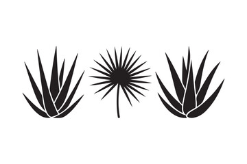 Three black silhouette tropical plants on white background