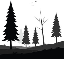 Obraz premium Pine trees forest landscape silhouette with birds flying in black and gray vector design