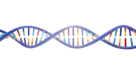 The Power Of DNA Isolated on Transparent PNG Background.