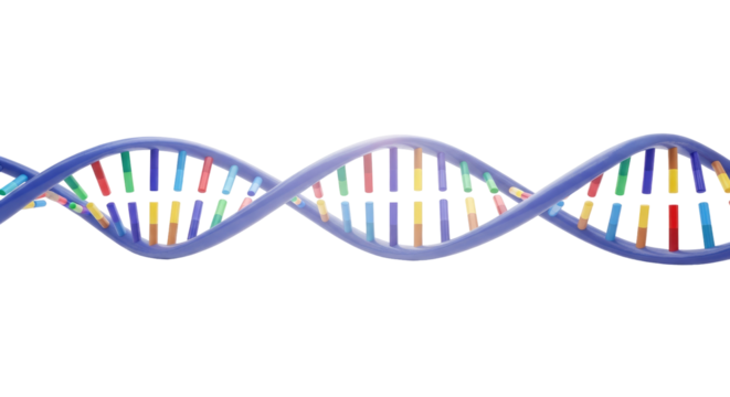 The Power Of DNA Isolated on Transparent PNG Background.