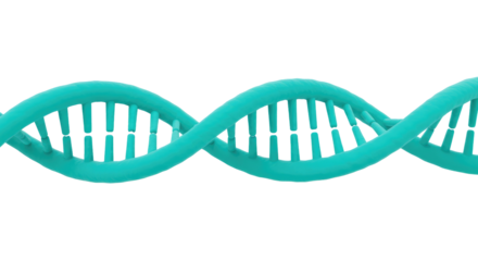 Building Blocks Of Life Isolated on Transparent PNG Background.