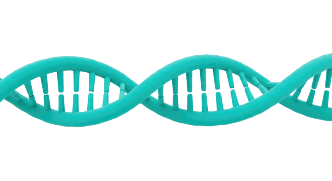 Building Blocks Of Life Isolated on Transparent PNG Background.