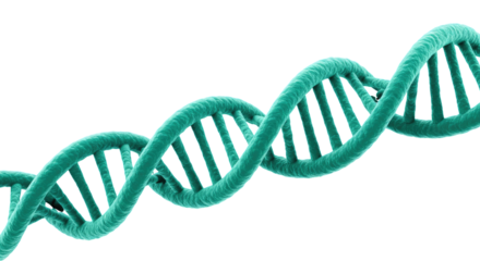 Driven By DNA Research Isolated on Transparent PNG Background.