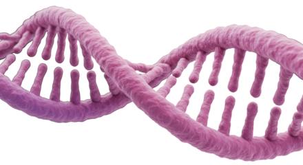 The Fundamental Unit Of Heredity Isolated on Transparent PNG Background.