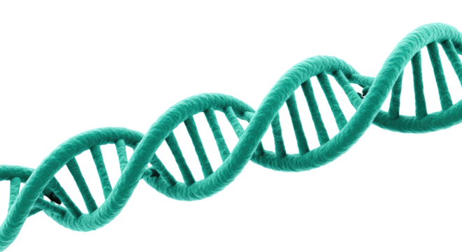 Driven By DNA Research Isolated on Transparent PNG Background.