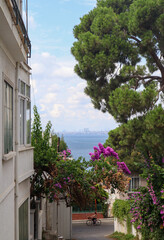 view from beautiful street with woman cycling in the background