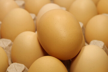 Fresh yellow chicken eggs in tray