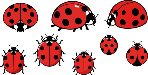 Group of ladybugs with red shells and black spots on a black background pattern