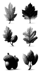 autumn leaves and acorns displayed artistically on a neutral background