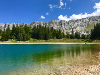 Mountain Lake with Clear Waters and Pine Forest