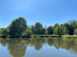 Peaceful Pond with Trees Reflected in Water on a Sunny Day