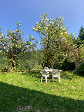 Outdoor Garden Seating Under Tree Shade