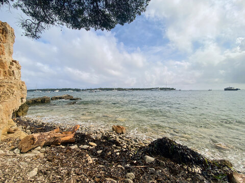 Rocky Shoreline with Driftwood and Boats in the Distance