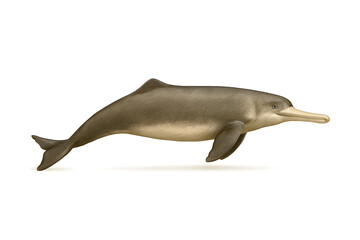 Naklejka premium Lifelike Ganges River Dolphin Vector Illustration – Natural Pose on White Background