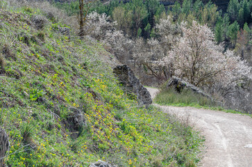 Trail in the Jucar River Gorge, near the town of Cuenca, Spain