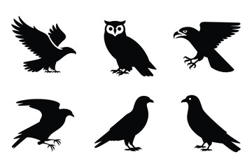 Obraz premium Collection of six bird silhouettes featuring eagles owls and crows in various poses