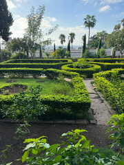 Haifa, Israel, 12 June 2025, Beautiful Garden at Stella Maris Monastery in Haifa, Israel neatly trimmed boxwood bushes in a labyrinth shape
