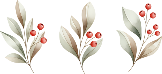 Three watercolor illustrations of delicate branches with muted green leaves and bright red berries set against a transparent background Berry Leaf Botanical