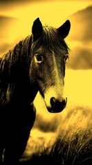 Majestic horse standing in a meadow during a cloudy morning in the countryside