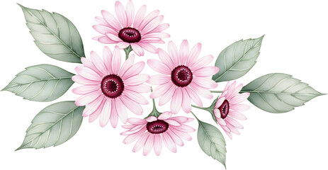 Delicate pink daisy like flowers with green leaves arranged in a decorative sprig pink flowers daisies floral botanical nature floral arrangement spring