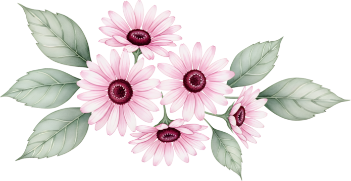 Delicate pink daisy like flowers with green leaves arranged in a decorative sprig pink flowers daisies floral botanical nature floral arrangement spring