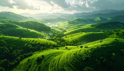 A breathtaking vista of verdant terraced hills, bathed in sunlight, showcasing the serene beauty of nature's landscape.