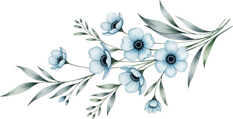 Delicate watercolor illustration of light blue anemone flowers with green foliage and buds on a transparent background blue flowers floral botanical nature