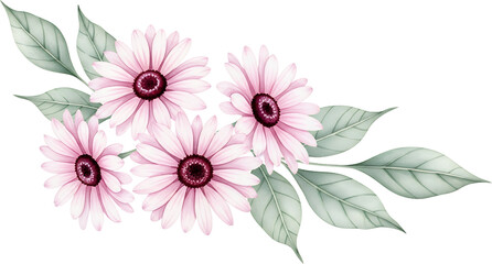 Watercolor illustration of pink daisy flowers with deep maroon centers and soft green leaves arranged in a corner design floral nature botanical petal