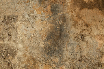Pared cemento