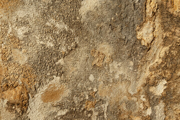 Pared cemento