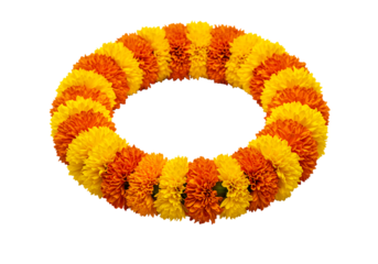 A garland of orange and yellow marigolds arranged in a circle on a white background.
